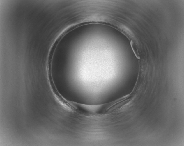 X0000068840942200605191922