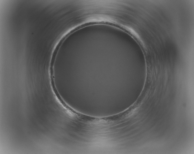 X0000068840943200605191922