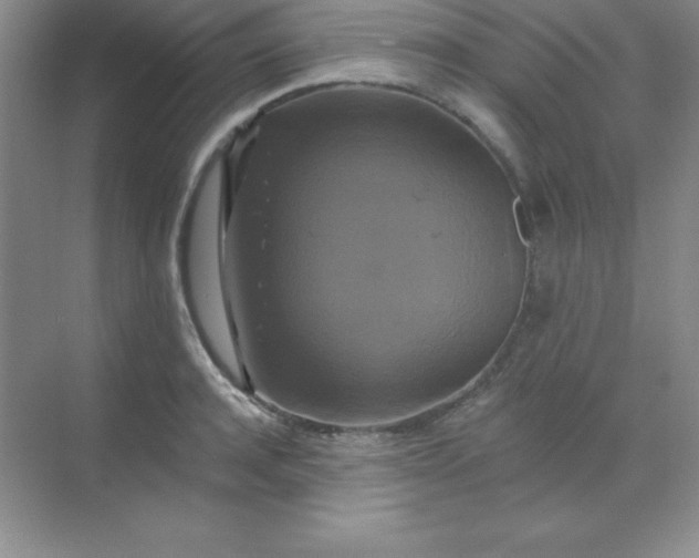 X0000068840944200605191922