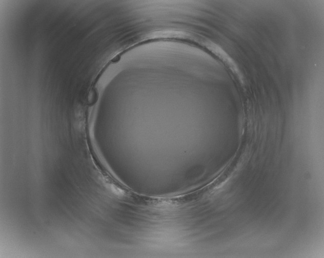 X0000068840945200605191922