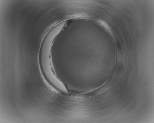 X0000068840946200605191922