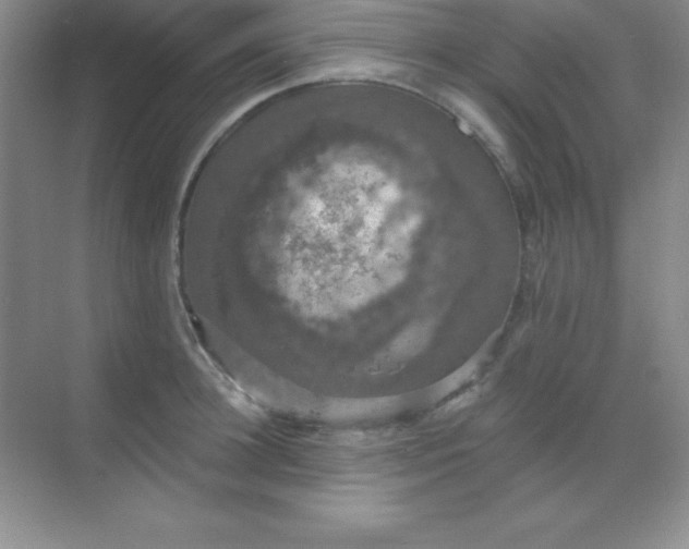 X0000068840948200605191922