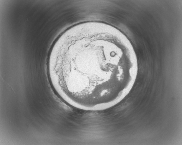 X0000068840950200605191922