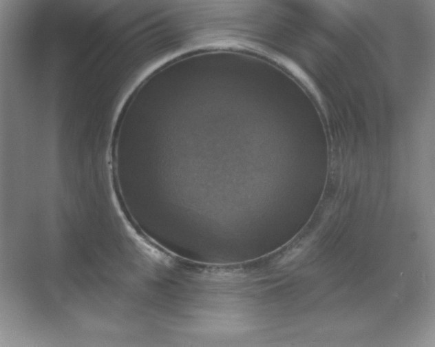 X0000068840951200605191922