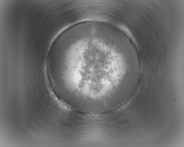 X0000068840952200605191922