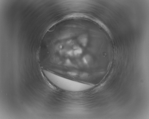 X0000068840953200605191922