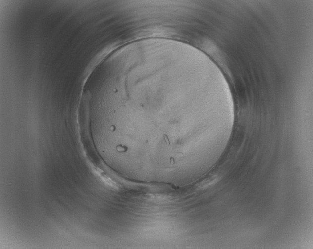 X0000068840954200605191922