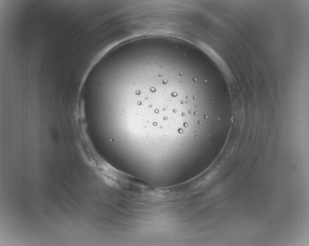 X0000068840956200605191922