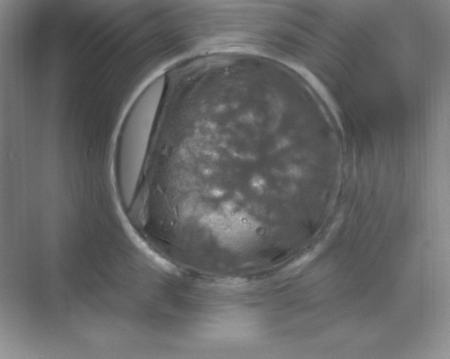 X0000068840957200605191922