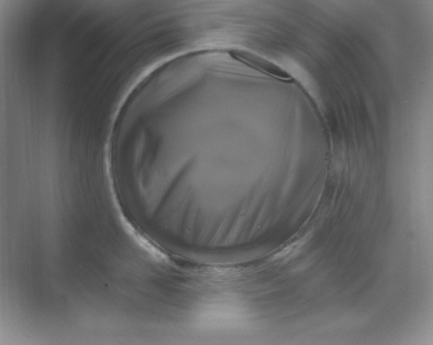 X0000068840958200605191922