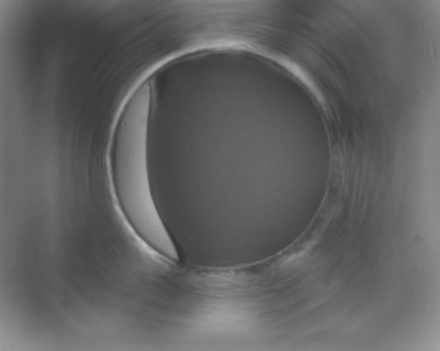 X0000068840959200605191922