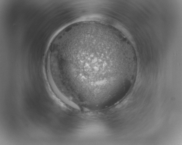 X0000068840960200605191922