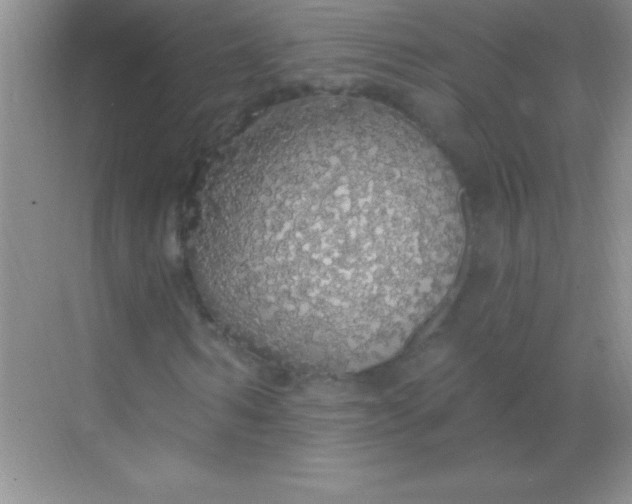 X0000068840962200605191921