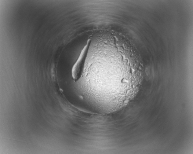 X0000068840963200605191921