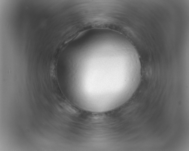 X0000068840964200605191921