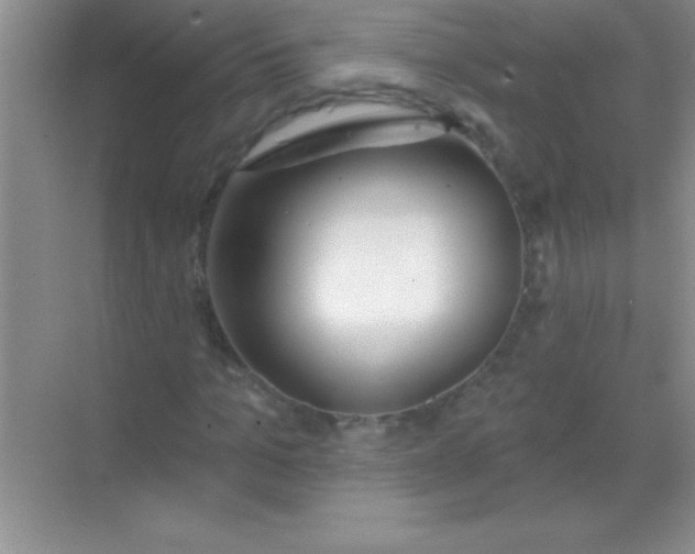 X0000068840965200605191921