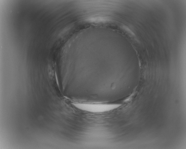 X0000068840966200605191921