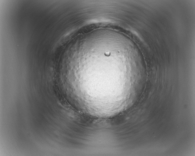 X0000068840967200605191921