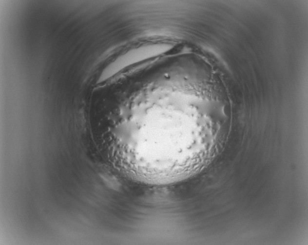 X0000068840968200605191921