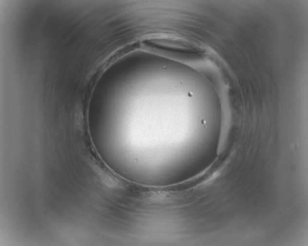 X0000068840969200605191921