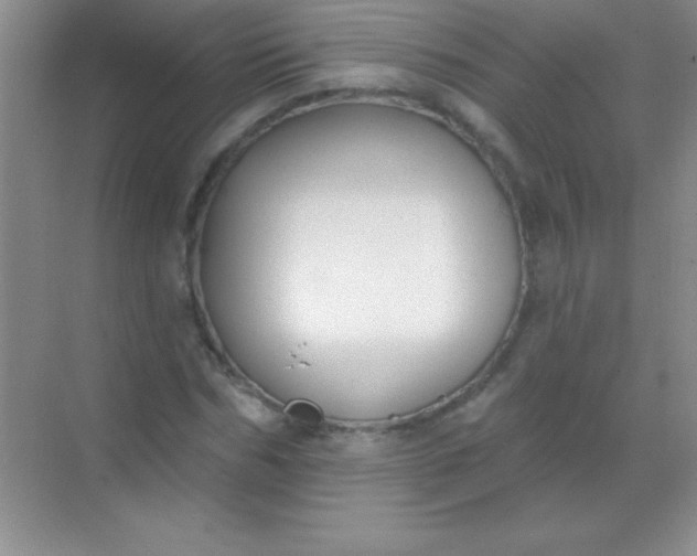 X0000068840970200605191921