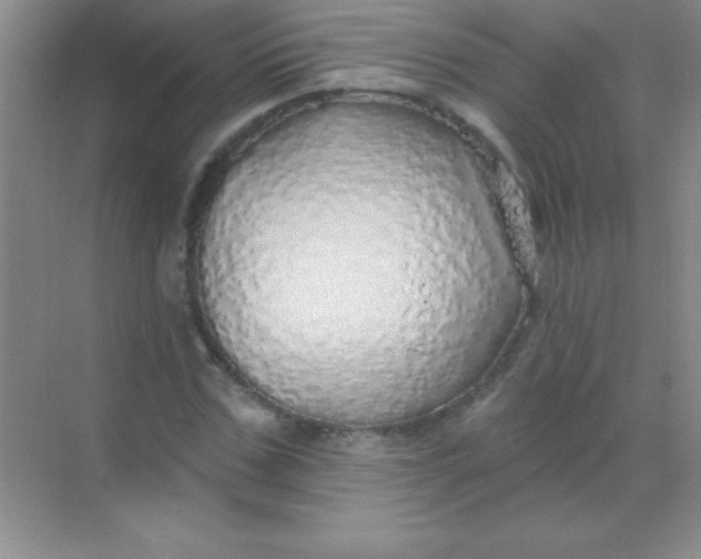 X0000068840971200605191921