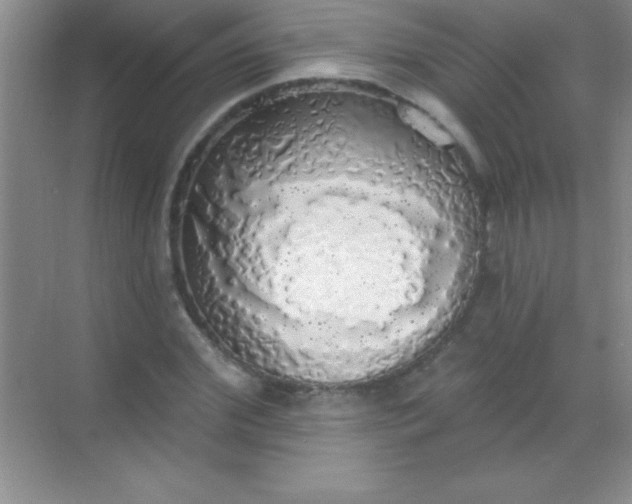 X0000068840972200605191921