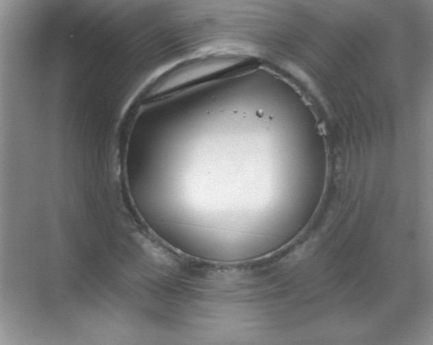 X0000068840973200605191921