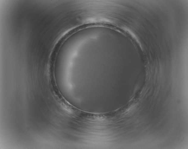 X0000068840975200605191921