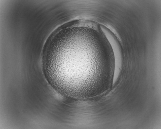 X0000068840976200605191921