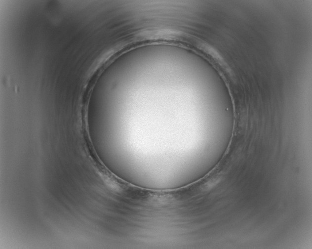 X0000068840978200605191921