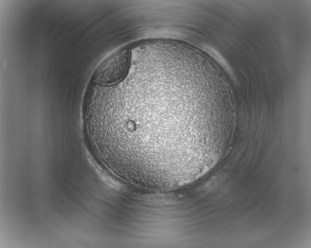 X0000068840980200605191921