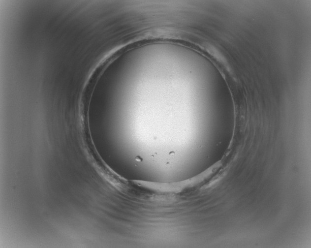 X0000068840981200605191921