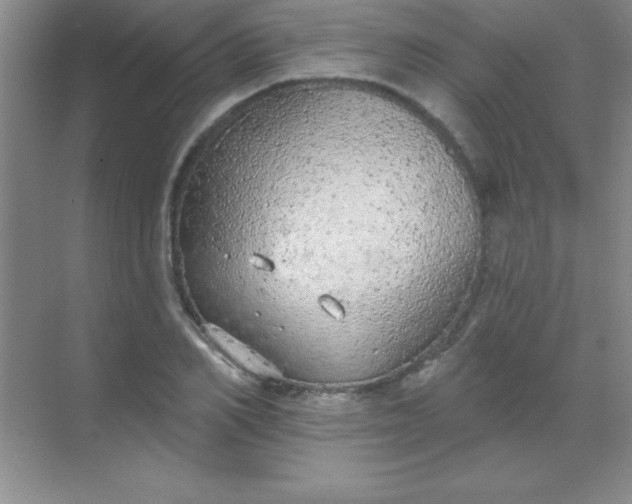 X0000068840982200605191921