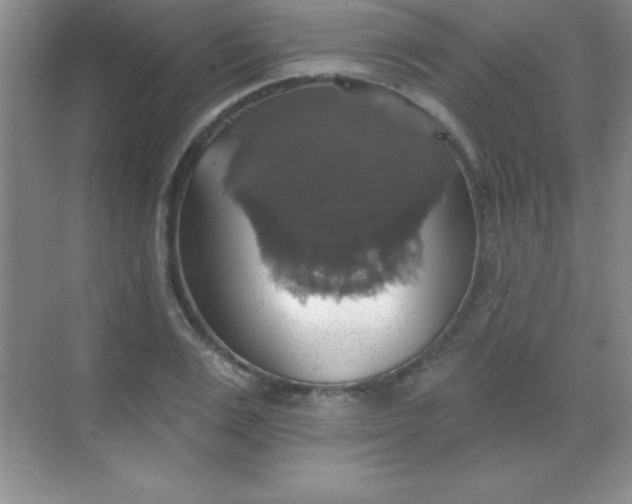 X0000068840983200605191921