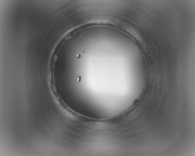 X0000068840984200605191921