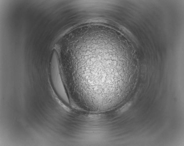 X0000068840985200605191921