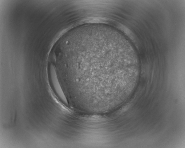 X0000068840986200605191921