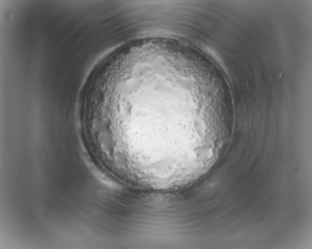 X0000068840987200605191921