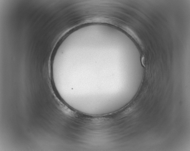 X0000068840988200605191921