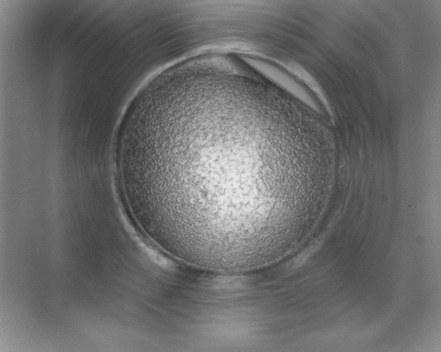 X0000068840989200605191921