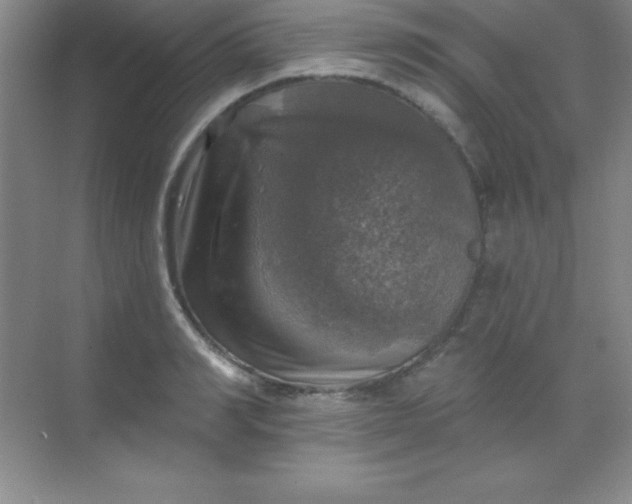 X0000068840990200605191921