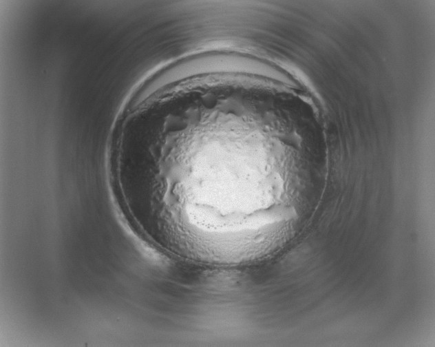 X0000068840991200605191921