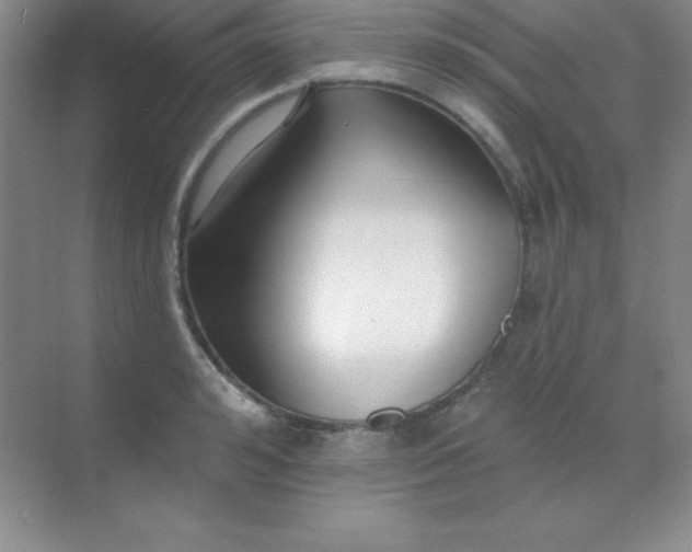 X0000068840992200605191921