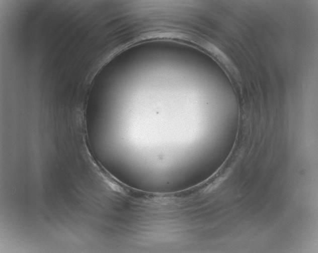 X0000068840993200605191921