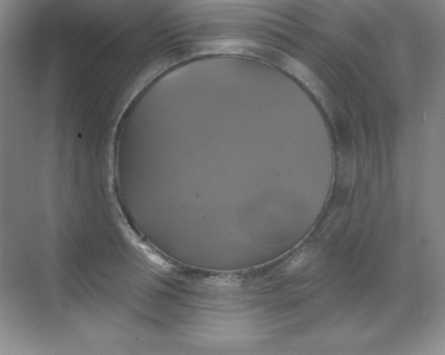 X0000068840994200605191921