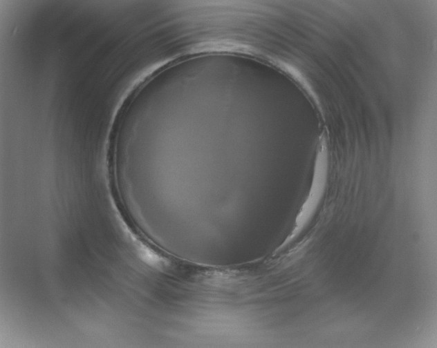 X0000068840995200605191921