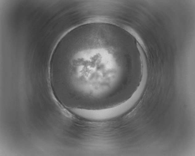 X0000068840996200605191921