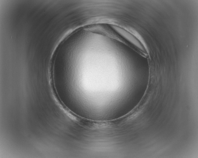 X0000068840997200605191921