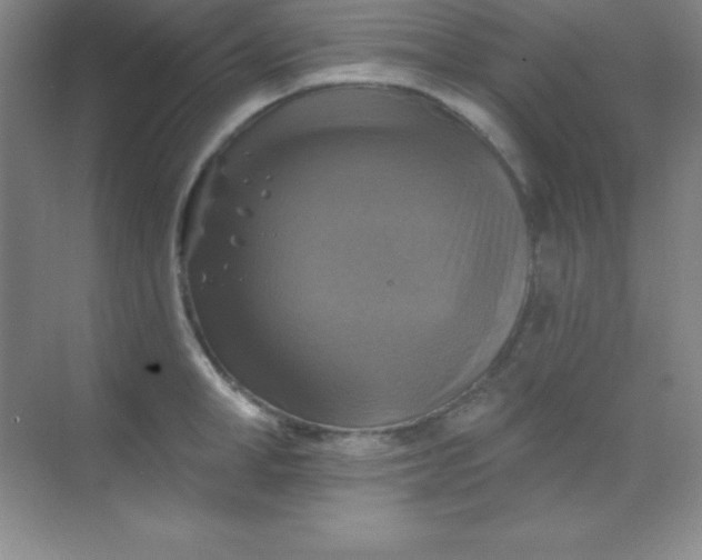 X0000068840998200605191921